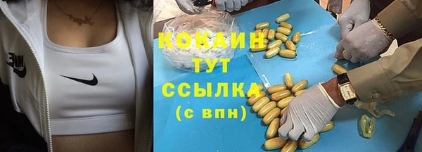 дживик Дмитриев