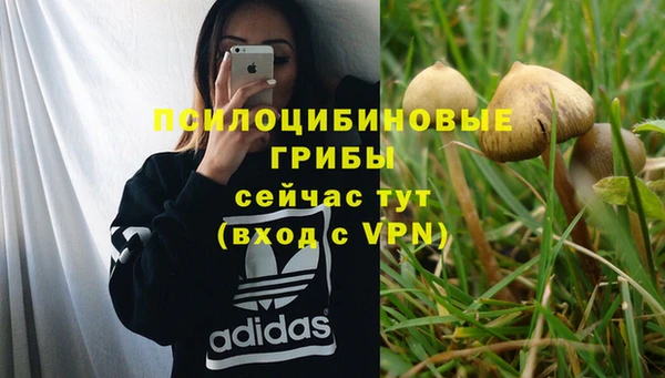 гашиш Дмитровск