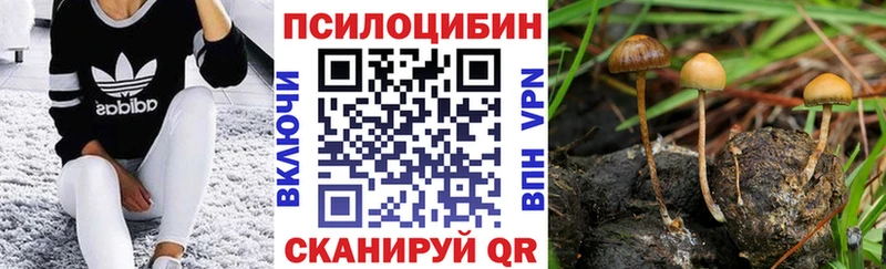 Псилоцибиновые грибы Psilocybine cubensis  Купить  Поворино 