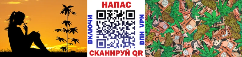 Купить закладки  Поворино  Шишки марихуана Amnesia 
